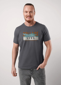 �����  Clever �������� ������� CLE 551978/14�_� �.�����