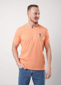 �����  Clever �������� ������� CLE 551978/21� maxi ��.���������