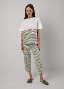 �����  Clever ������ ������� CLE LP25-1153/1 ��������/����