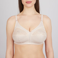 02.05  Aveline ����������� 665770 �����