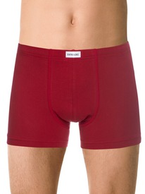22.05 DiWaRi DIWARI BASIC MEN MSH 2127 ����� ������� 20�-1073��� dark red � ����