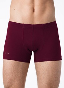 22.05 ��������� ������� ALFA ����� ������� BOXER SHORTS 6300 16�6300 �����
