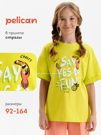 01.06 Pelican �������� ��� ������� GFT3390/2 ��������