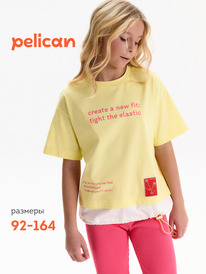01.06 Pelican �������� ��� ������� GFT3388/4 ���������