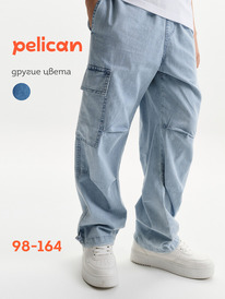 01.06 Pelican ����� ��� ��������� BGP3373 �������