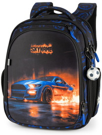 02.07 SkyName ������ SkyName RK-619 + ������ ����� RK-619
