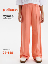 02.10 Pelican ����� ��� �������
