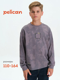 02.10 Pelican ������� ��� ���������