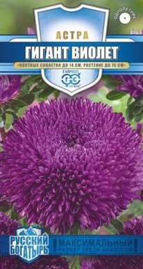 ������ ������ ���������-���������� �����