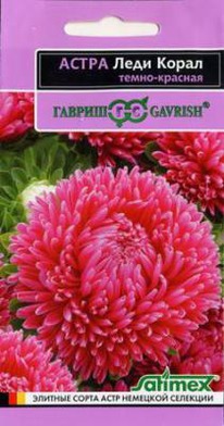 ���� ����� �����-������� ����� ����� ���������