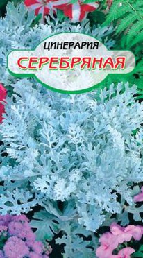 ��������� ����������