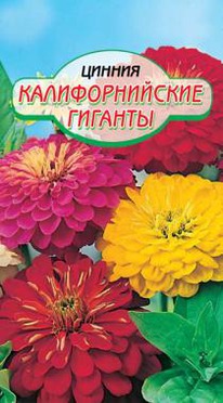 �������������� ������� ������