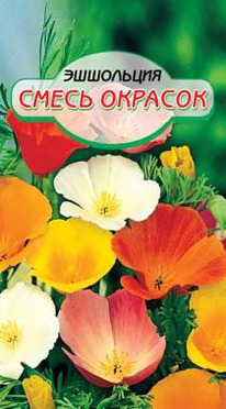 ����� ������� ��������� 40��