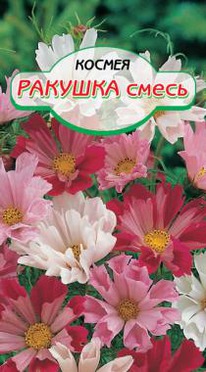 �������, ����� ������