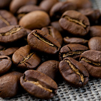 ����� ������ - ���� � ����� ���� ����� ����